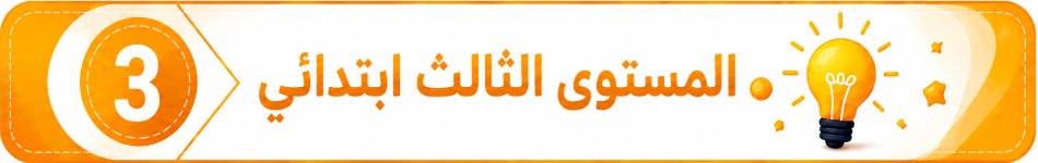 المستوى الثالث